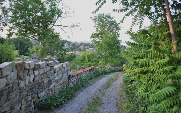 Obnovljeni suhozid na otoku Braču