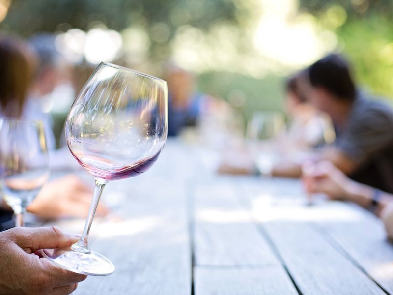 Vinogradi i degustacija vina na Pelješcu